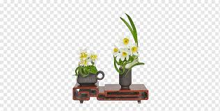 From new life to death, from purity to passion, flowers have had many meanings in myths and legends. Flowers Narcissus Bunchflowered Daffodil China Sina Corp Blog Greek Mythology Standard Chinese Narcissus Bunchflowered Daffodil China Png Pngwing