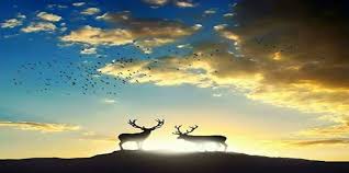 د عاطف عبدالعزيز عتمان يكتب أمة الطوائف من أريام أفكاري Beautiful Pictures Photo Pictures