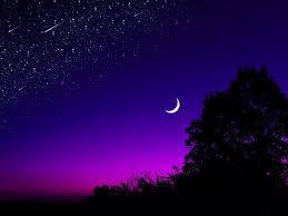 Maybe you would like to learn more about one of these? Moon Tree Starry Sky Night Stars Dark Background Toppng