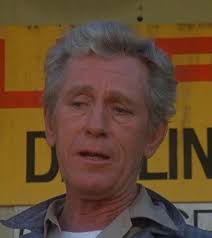 The Incredible Hulk" Wildfire (TV Episode 1979)