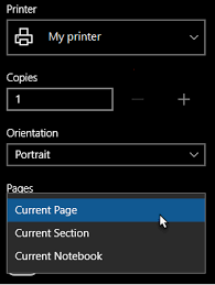 If i print the same jpg, png via paint, word etc, the photo is printed. Print Notes In Onenote For Windows 10 Office Support