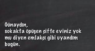 filiz erikci decoratrice d in adli kullanicinin gulermisin aglarmisin panosundaki pin mizah komik