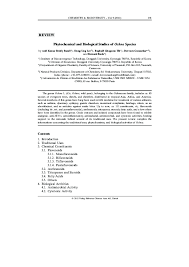 Image result for Ochna macrocalyx