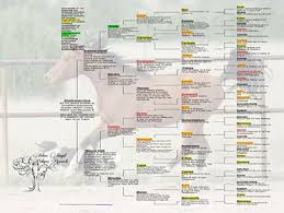 arlene magid pedigree charts