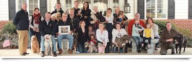 So, we decided to put in an animal crematory. Pet Cremation Animal Cremation Funeral Services In Lancaster