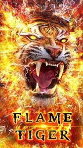 Fire Tiger Live Wallpaper Tiger Art Lion Art Tiger Artwork