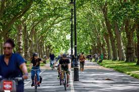 Safe Bike Routes Near Me The Beginner's Guide To City Cycling | Greenpeace Uk