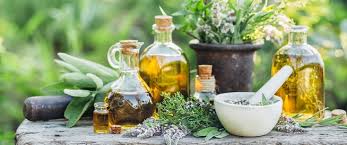 علاج التهاب الجيوب الانفية المزمن بالاعشاب ويب طب