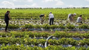 Astfel bnm a afisat un curs de referinta de 21,1510 lei pentru un euro si de 17,3861 lei pentru un dolar american. Agora Peste 600 De Mii De Dolari Vor Fi InvestiÈi In SoluÈii De Adaptare A Agriculturii La SchimbÄrile Climatice