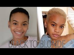 Videos — the baldie revolution