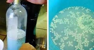 Une Ancienne Astuce Au Bicarbonate Qui Fera Que Votre Maison Sente Merveilleusement Bon Desodorisant Maison Desodorisant Naturel Astuce Menage