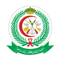 متابعات الوظائف يوفر وظائف صحية شاغرة للنساء بمستشفى القوات المسلحة وظائف سعوديه شاغره christmas ornaments holiday decor novelty christmas