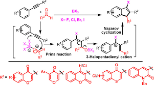 The board of directors also consists of ton wallast (cfo). Construction Of Halofunctionalized Indenes Via A Cascade Prins Nazarov Cyclization Promoted By Dual Roles Of Bx3 Sultana 2020 Advanced Synthesis Amp Catalysis Wiley Online Library