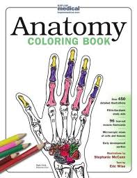 Free Pdf Anatomy Coloring Book Coloring Books Anatomy