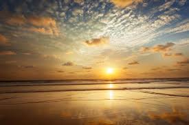 Download hd beach photos for free on unsplash. 446 Baga Beach Photos Free Royalty Free Stock Photos From Dreamstime
