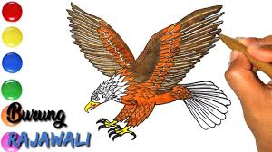 Burung elang adalah hewan berdarah panas, mempunyai sayap dan tubuh yang diselubungi bulu pelepah. Cara Menggambar Burung Elang Gambar Burung Rajawali Youtube