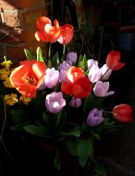 The brits called it dazzle painting, and the yanks called it razzle dazzle. it transformed ships of war from plain gray hulls into brightly colored, floating works of cubist art. Give Em The Old Razzle Dazzle April 2020