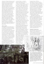 Image result for Anthospermum usambarense