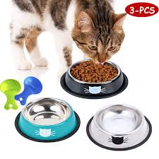 If a cat refuses to eat from a. Legendog 3pcs Cat Bowls Cute Cat Food Bowls Stainless Steel Cat Bowl Cat Bowls For Food And Water Cat Food Dish With Food Scoops Buy Online In India At Desertcart In Productid