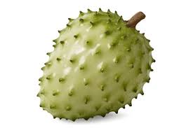Image result for Annona muricata