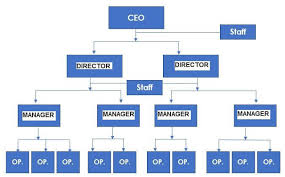 Abiding Organisational Hierarchy Chart Clothing Store