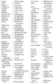 Root Crops Queensland Arrowroot Canna Indica