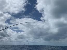 Taco marine outrigger systems are great for kite fishing. How To Get The Most Out Of Your Outriggers Taco Marine