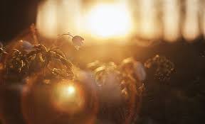 Does the Bible Really Speak of Us Having “Glory” Someday? - Eternal  Perspective Ministries