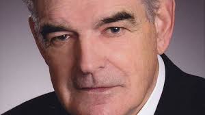 Et stort og markant træ i skoven er faldet