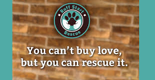 There are so many loving adoptable pets right in your community waiting for a family to call their own. Animal Rescue Dog And Cat Rescue In Minnesota Ruffstart Rescue