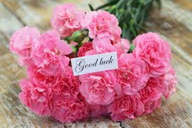We did not find results for: Good Luck Card With Pink Carnation Flowers Stock Photo Picture And Royalty Free Image Image 42151070