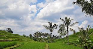 11 pemandangan alam terindah di indonesia ini bikin takjub 8 gambar pemandangan alam asli indonesia hd gambar indah 11. Koleksi Pemandangan Alam Asli Indonesia Hd