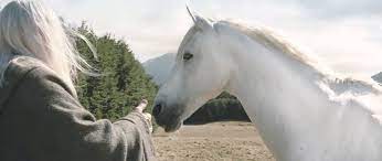 Gandalf's glorious horse Shadowfax has died | The Independent | The  Independent