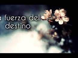 «la fuerza del destino», canción de mecano publicada como sencillo del álbum descanso dominical (1988); Mecano La Fuerza Destino Letra Fondo De Pantalla De Flores Vintage Frases De La Vida Imagenes Cristianas De Aliento