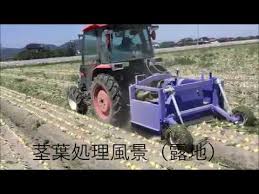 愛菜ファーム株式会社 リーフカッター 玉葱葉切り機 Youtube