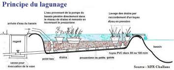 Coupe d un bassin de lagunage … wikipédia en français. Systeme De Lagunage Recherche Google