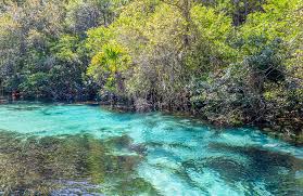 Clear kayak on the Weeki Wachee River