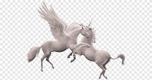 Gevleugelde eenhoorn tekening pegasus, eenhoorn, dierlijke figuur, animatie film png. Gevleugelde Eenhoorn Pegasus Eenhoorn Az De Png Pngegg