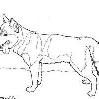 Ninja Hattori Colouring Pictures Printable Coloring Pages Coloring Pictures Coloring Pictures Of Animals Spiderman Coloring