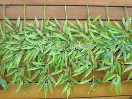 We did not find results for: 60pcs Bamboo Stems Artificial Bamboo Leaf Branches Green Plant For Wedding Flower Photograph Props Green Wall Decoration Artificial Bamboo Leaves Artificial Bamboogreen Plants Aliexpress
