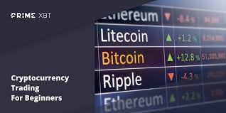 The best crypto business to start can yield a profit if you trade in the right areas. Cryptocurrency Trading For Beginners Ultimate Guide Primexbt