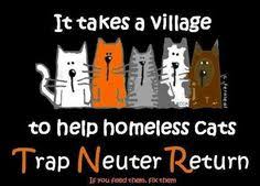 Stray cats are former pets who have either been abandoned or have strayed i want to get my own pet cat fixed, but i can't afford to. 28 Trap Neuter Return Tnr Ideas Neuter Feral Cats Cats