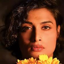 Watch Live TV, Movies, and TV Shows Free Online