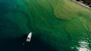 explore mysterious lake huron sinkholes