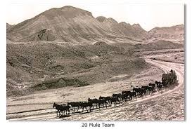 Borax And The 20 Mule Team In Death Valley
