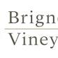 Comedy Night at Brignole Vineyards event image