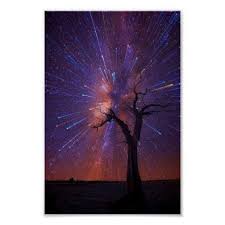 Australian Outback Night Sky Poster Decor Diy Cyo Customize Home Beautiful Nature Nature Photography Night Skies
