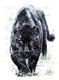 Panther Black Watercolor Jaguar Background Animal White Wildlife Leopard Fantasy Animal Bac In 2020 Panther Art Black Panther Drawing Animal Drawings