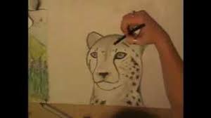 Gepard Zeichnung