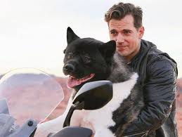 Double Trouble Henrycavill Superman Manofsteel Bvs Witcher Kal Kalcavill Kalthebear Henry Cavill Henry Superman Superman Cavill